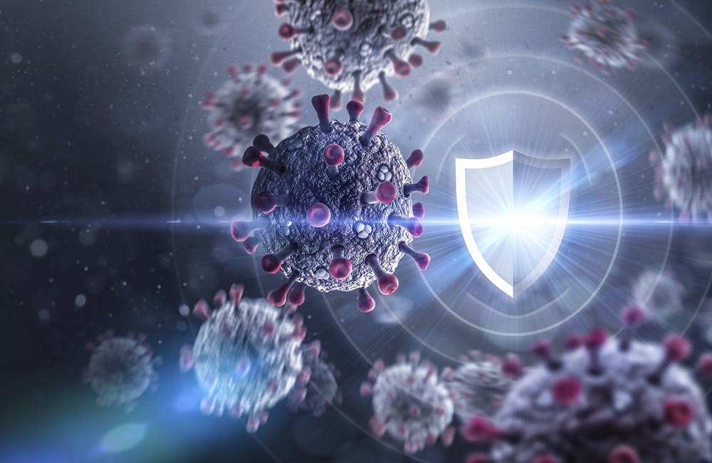 Viruses and Shield. Defending against Virus Infection.
