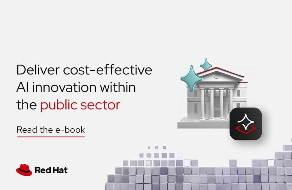 AI For the Public Sector